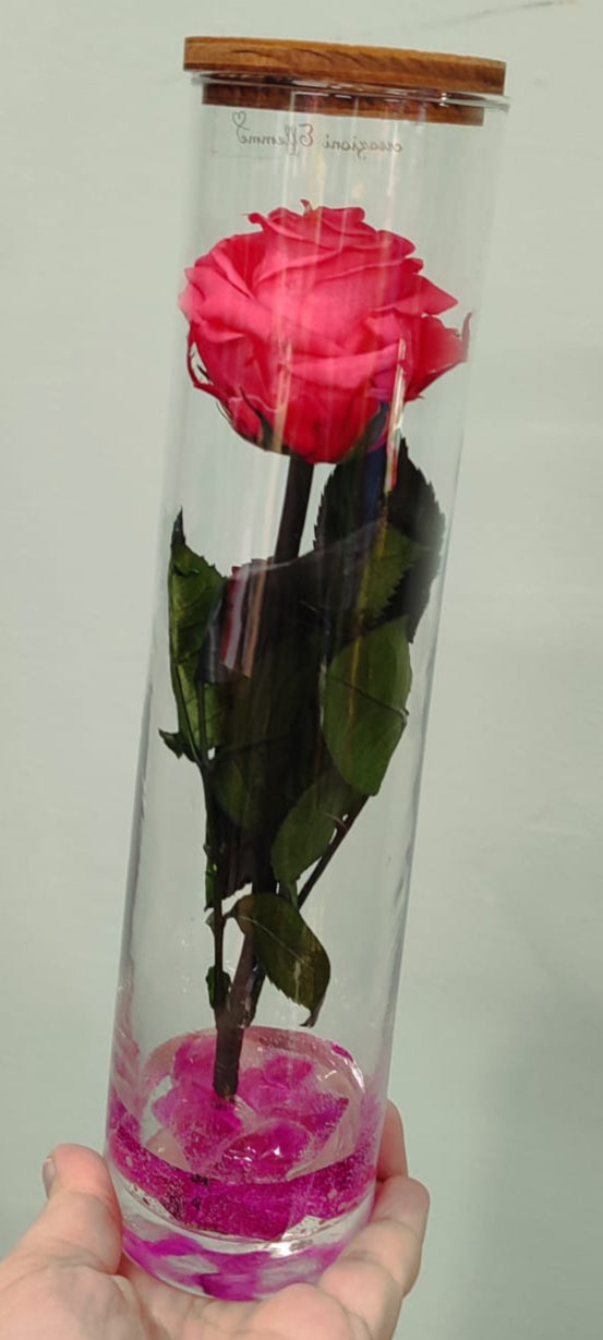 Rosa stabilizzata a stelo