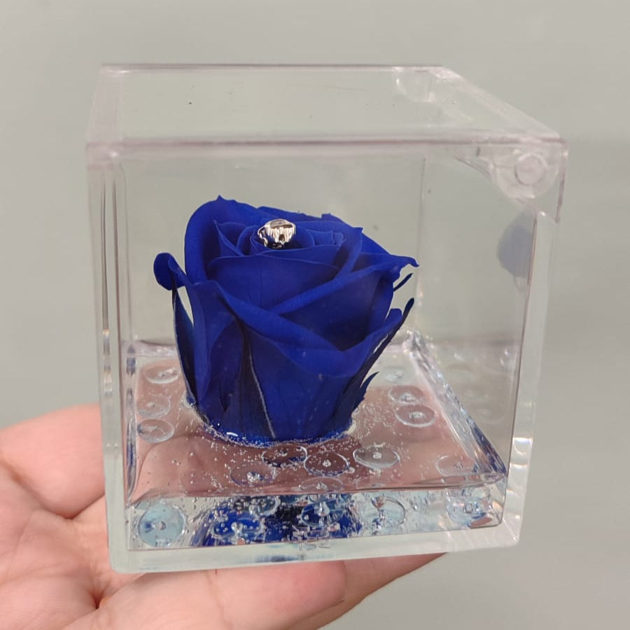 Rosa stabilizzata piccola