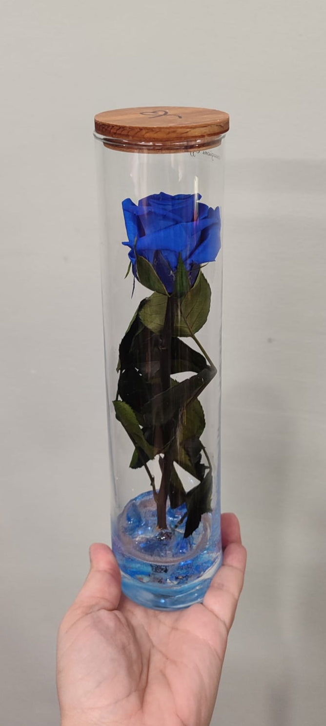 Rosa stabilizzata a stelo