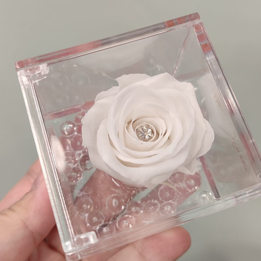 Rosa stabilizzata piccola