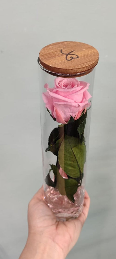 Rosa stabilizzata a stelo