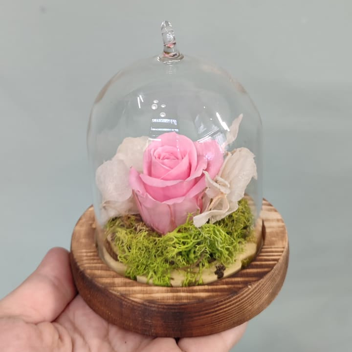 Rosa stabilizzata piccola