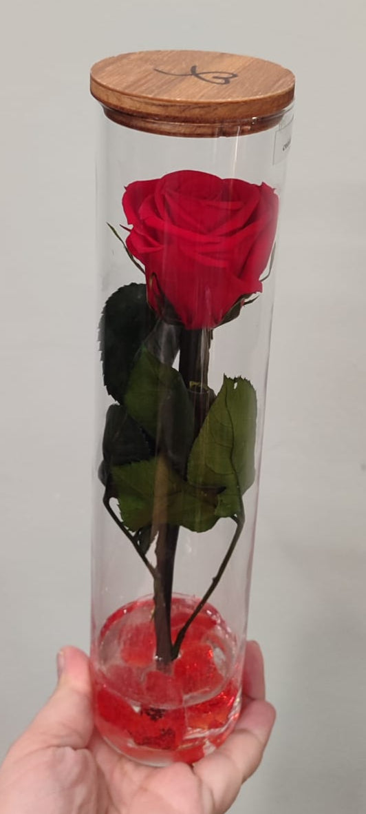 Rosa stabilizzata a stelo